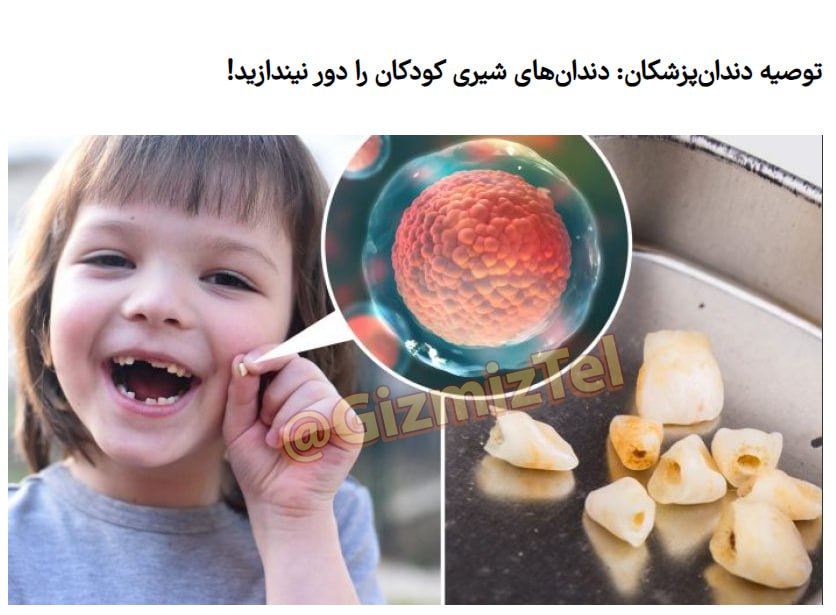 ئایا باوەڕ دەکەن کە شێرپەنجە بە ددانی شیری چارەسەر بکرێت؟!