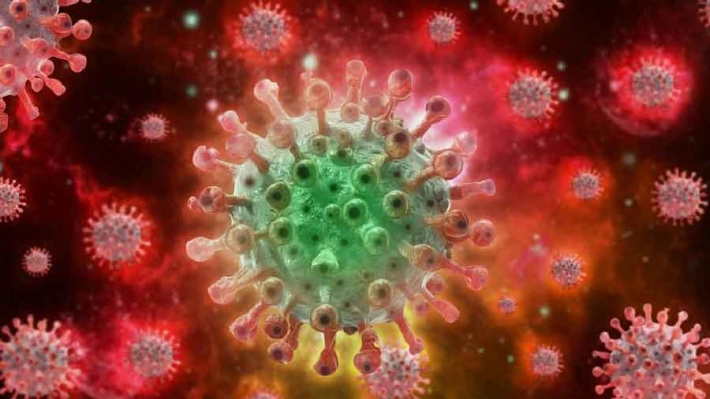 نوێترین ئاماری حاڵەتی توشبوون بە ئاوڵەی مەیموون بڵاوکرایەوە