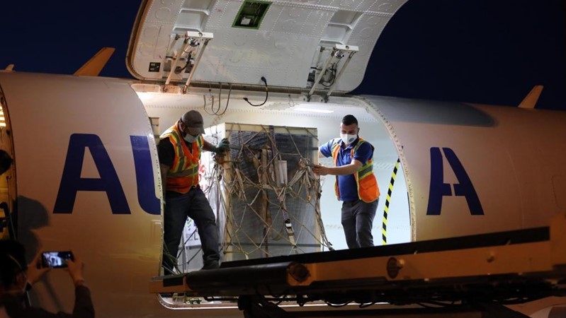 چین وەک هاوکاری یەک میلیۆن ڤاکسین پێشکەش بە عێراق دەکات