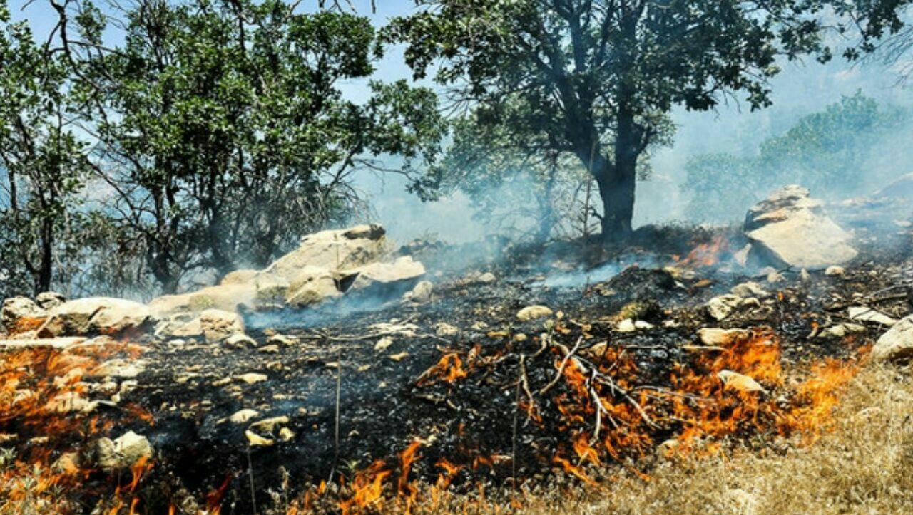٣٨٠ هێکتار لە دارستانەکانی سەر بە شاری پاوە لە ئاگردا سووتان
