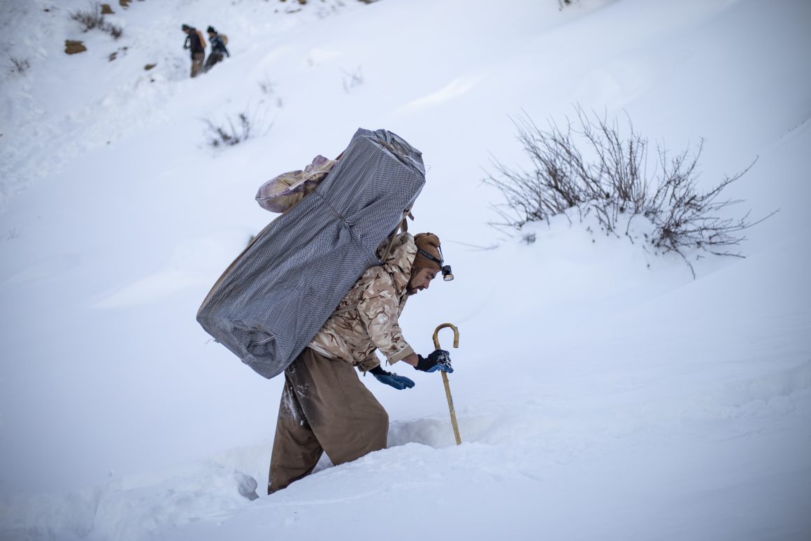 برینداربوونی کۆڵبەرێک لە سنووری کرماشان