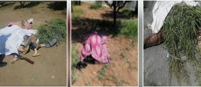 کێشەی خێزانی دەبێتە هۆی کوژرانی ٥ کەسی ئەندامانی بنەماڵەیەک لە پاریزگای سنە