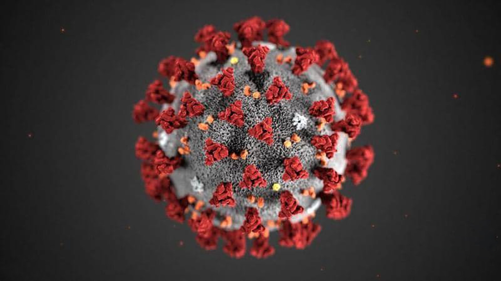 پەیامی کورد / هیچ تووشبوویەکی کۆرۆنا لە ٢٤ کاتژمێری ڕابردوودا گیانی لە دەست نەداوە