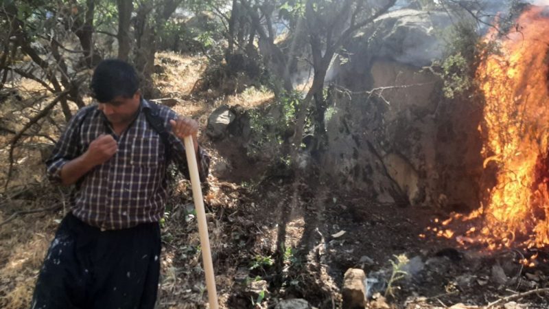 ماوەی چەند ڕۆژێکە سوتانی دارستانەکانی مەریوان بەردەوامە