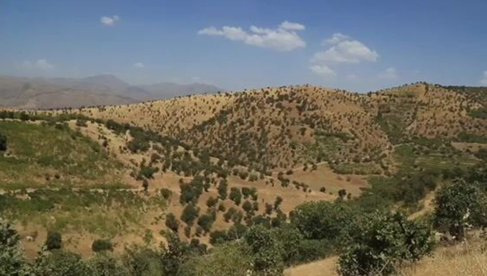 لە سنووری شارباژێر ئۆتۆمبێلێک کرایە ئامانجی دڕۆن