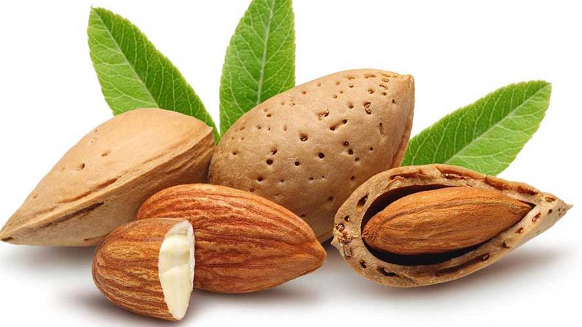 خواردنی بادەم چی بەسەر جەستە دەهێنێت؟