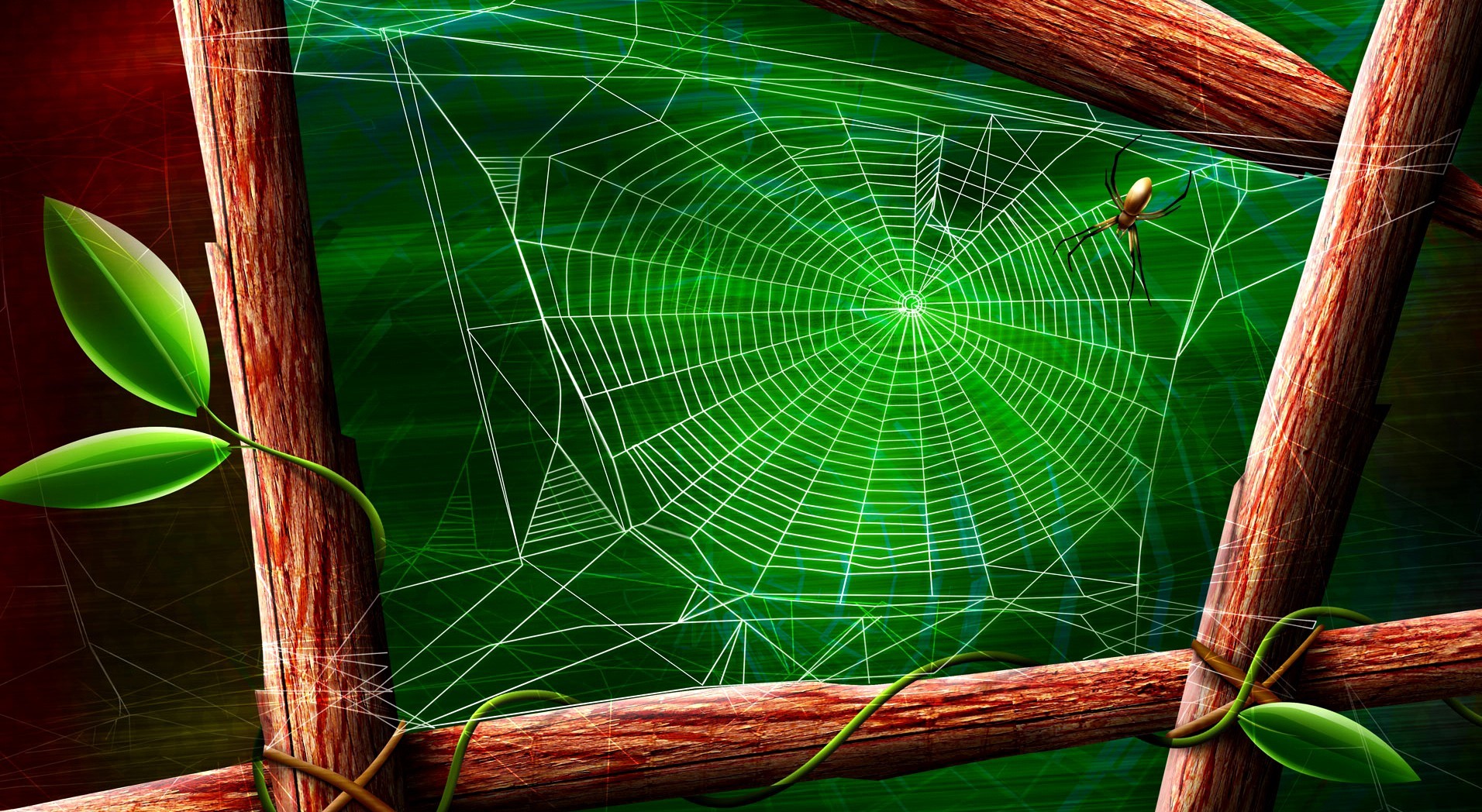 ئایا تاکوو ئێستا گرینگی تاڵەکانی جاڵجاڵۆکە تان زانیوە  ؟؟؟