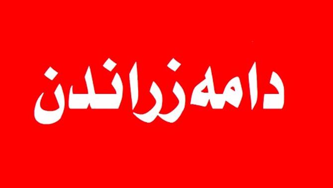 سێ ھەزار کەس سەر بەم دامەزراوەیە دادەمەزرێن