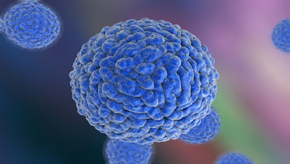 تەندروستیی عێراق ئاماری نوێی تای خوێنبەربوون بڵاو دەکاتەوە