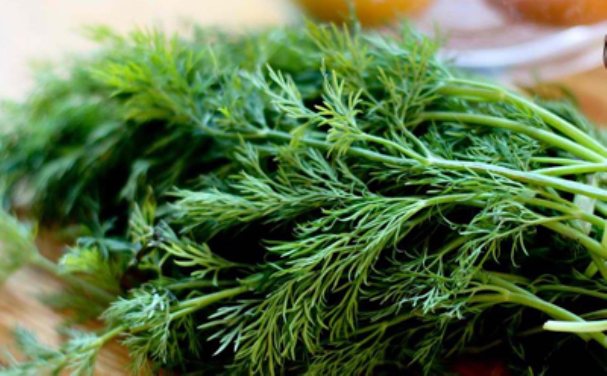 تایبەتمەندییە سەرسوڕهێنەرەکانی بەکارهێنان شبیت کە تۆ ئاگاداری نیت