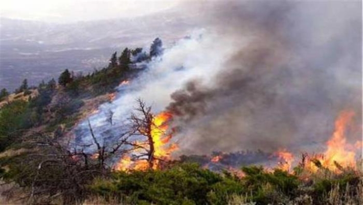 سووتانی 60 دۆنم پوش و پاوەن لەپارێزگای سلێمانی