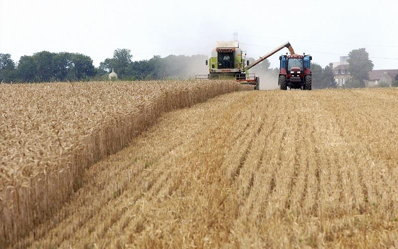 روسیا لە رێککەوتنی هەناردەکردنی دانەوێڵە کشایەوە