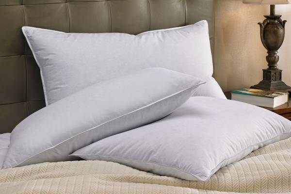 بەرگە باڵنجگەلی نەشۆراو زۆر پیسترە لە کورسییەکانی ئاودەست