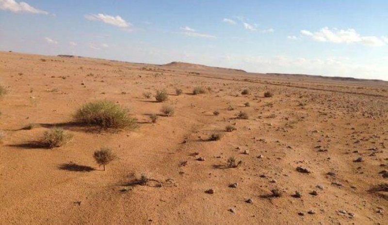 لیژنه‌ی كشتوكاڵى په‌رله‌مانی عێراق: ڕێژەی 70%ی زه‌وییه‌ كشتوكاڵییه‌كانی عێراق ڕووبه‌ڕووی به‌ بیایانبوون بوونه‌ته‌وه‌