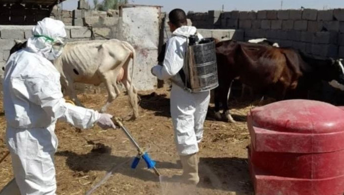 عێراق: ٥٥ کەس تووشی تای خوێنبەربوون بوون