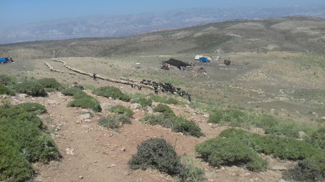 شەڕی تایفەیی لە کرماشان چەندین قوربانی لێکەوتەوە