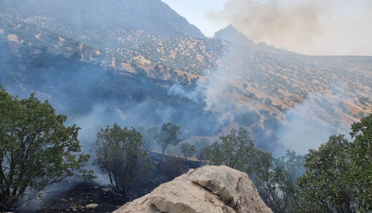فڕۆکە جەنگییەکانی تورکیا دەڤەری برادۆست بۆردومان دەکەن