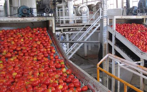 كارگه‌ى دۆشاوى ته‌ماته‌ى هه‌ریر له‌ ماوه‌ی مانگێكدا ده‌كه‌وێته‌وه‌ كار