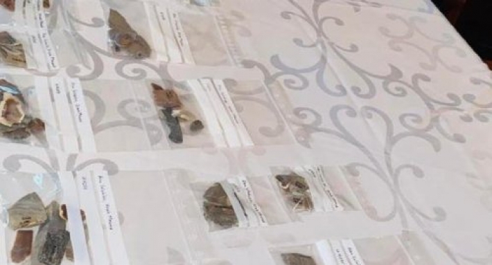 ئەڵمانیا زیاتر لە ١٠٠ شوێنەوار دەبەخشێتەوە عێراق