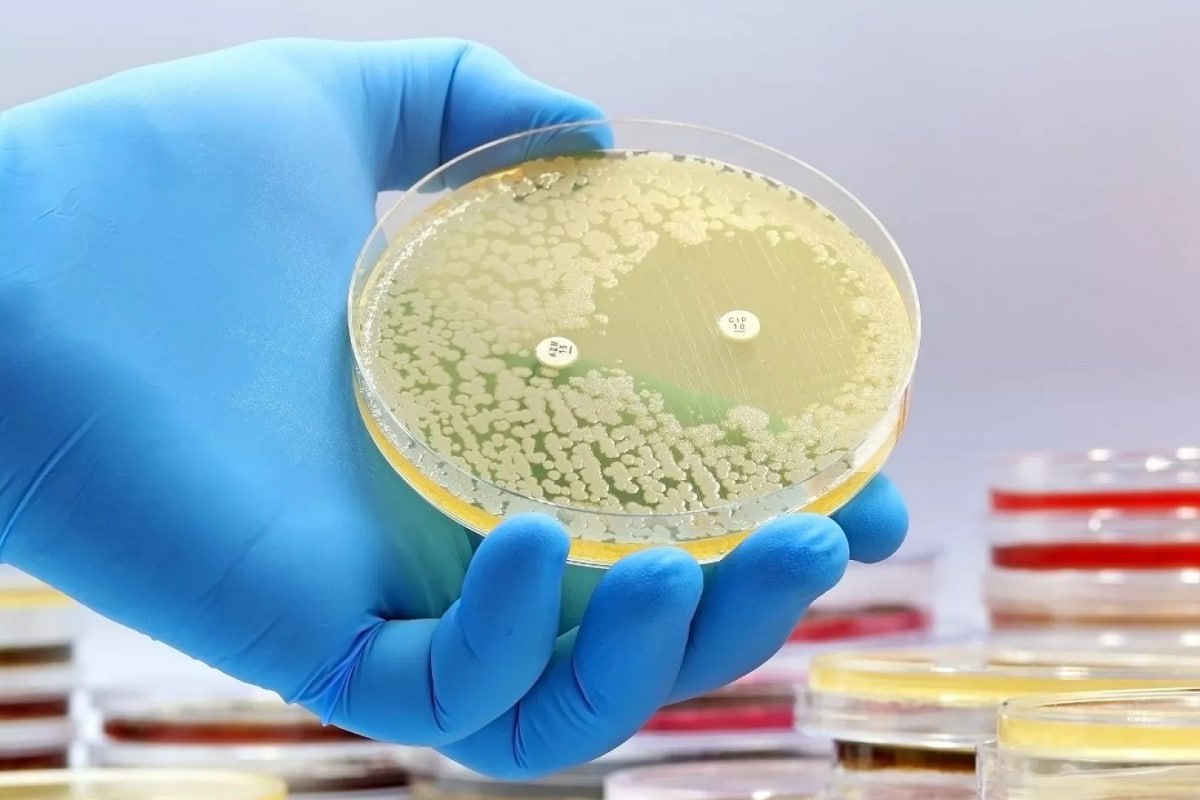 دوای تێپەڕبوونی ٦٠ ساڵ " ئانتی بایۆتیکێکی " دژە زیندەیی نوێ دۆزرایەوە