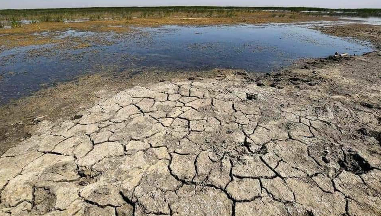 لە بودجەی عێراقدا پشکی تایبەت بە ژینگە سفرە