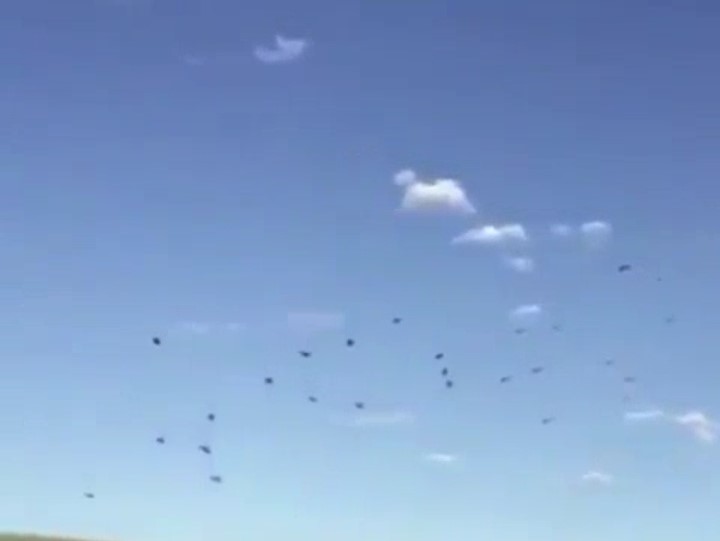 بەپەلە   ...  لە فڕۆکەخانەی حەریر  لە ئۆپراسیۆنێکی سەربازی دا ژمارەیەکی زۆر سەربازی ئەمریکی بە چەتری نەجات هاتنە خوارەوە