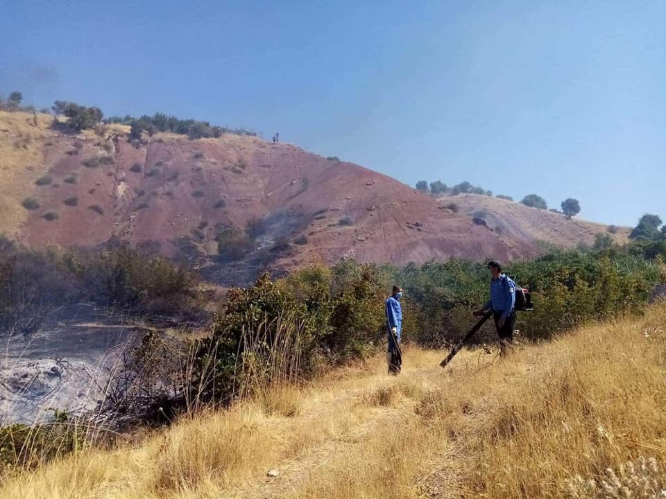 سووتانی نزیکەی ٢٠٠٠ دۆنم پوش و پاوان لە سلێمانی
