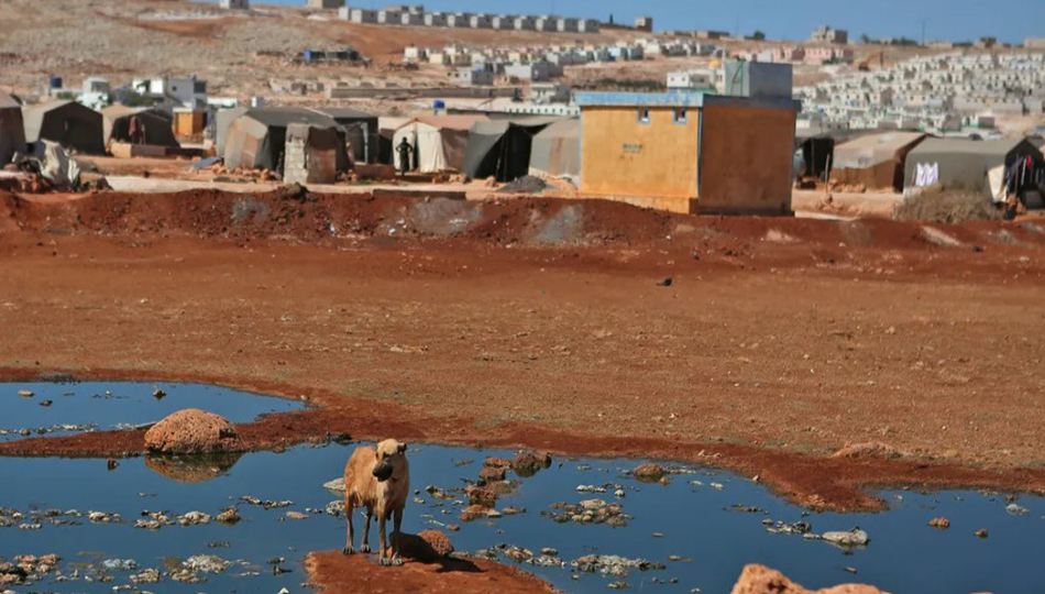 ژمارەی مردن بە کۆلێرا لە سووریا ڕووی لە بەرزبوونەوەیە
