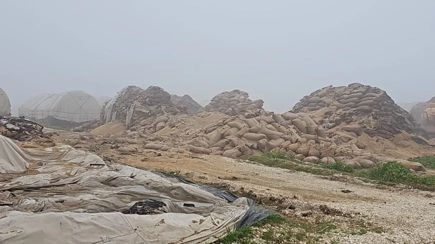 Di êrîşa ser baregeha Amerîkî de embara genim şewitî