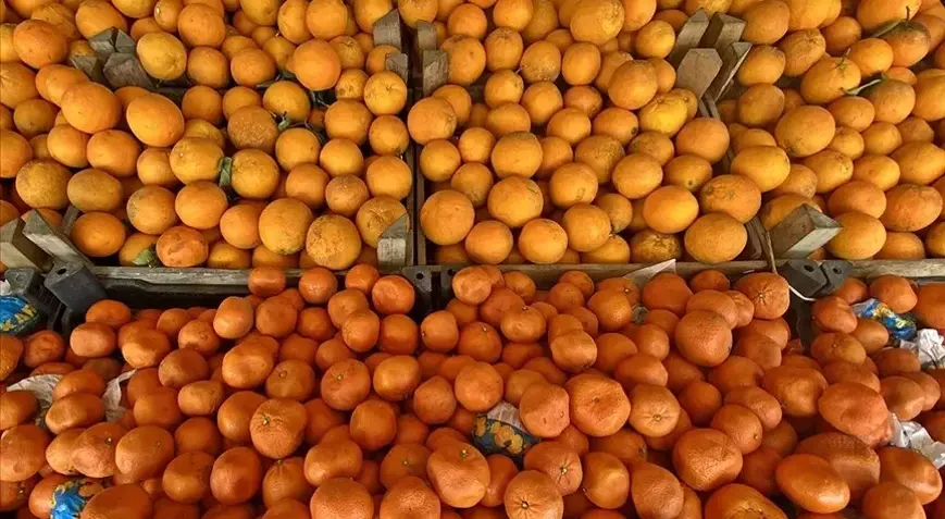 Di 3 mehan de îxracata tûrûncan ya Tirkiyê giha 697,7 milyon dolarî