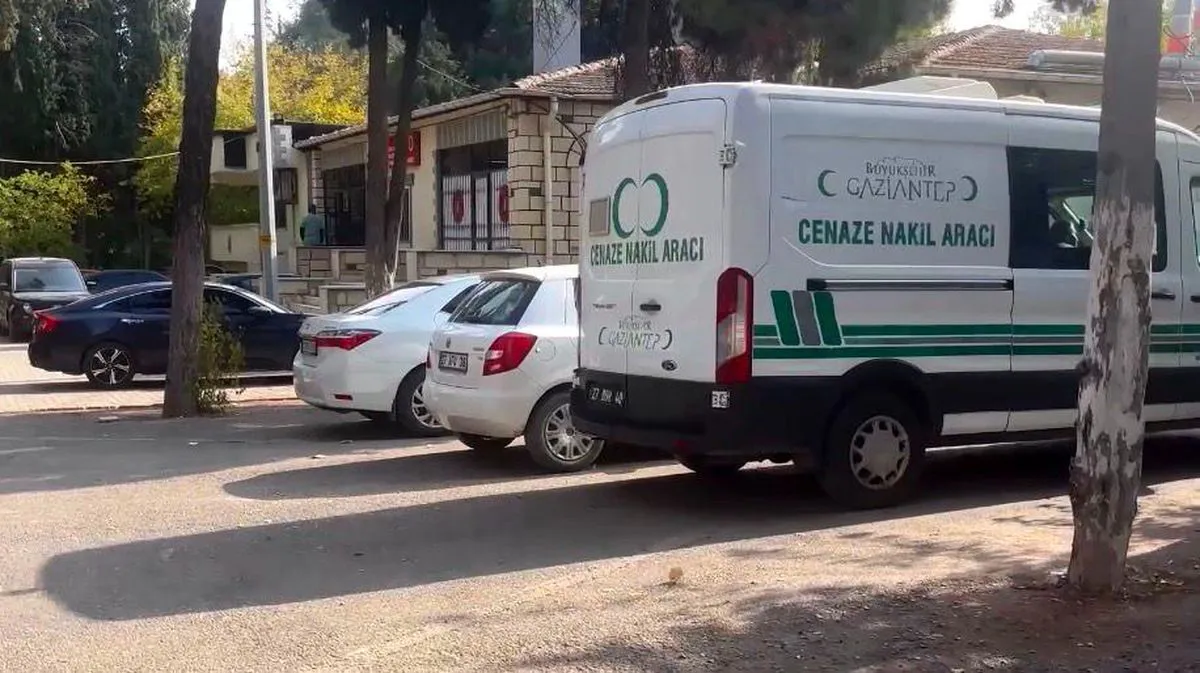 Li Dîlokê otomobîlekî ji paşde li treylerê xist: Bav û kur mirin