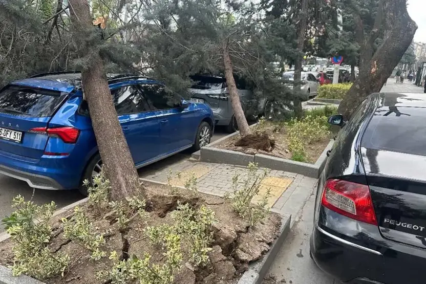 Li Ankara bayê xwurt daran qeliband û zerarê da erebeyan