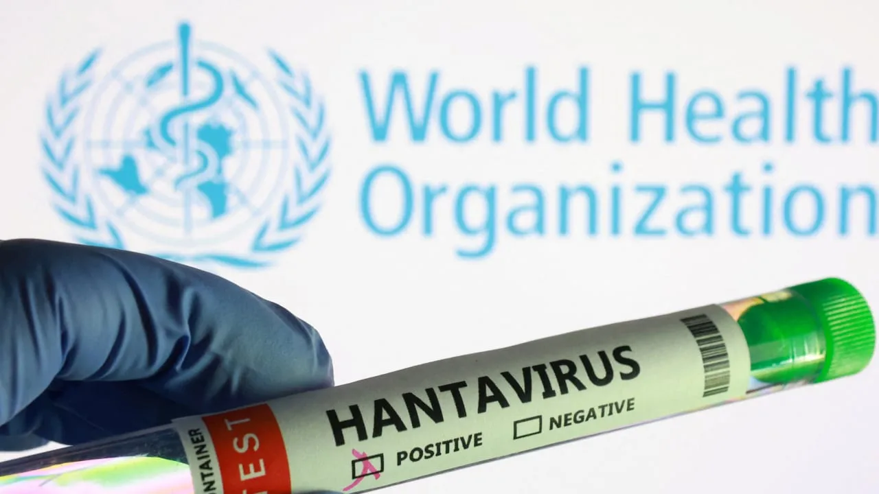 WHO: Metirsiya Hantavîrûsê ji bo Cîhanê kêm e