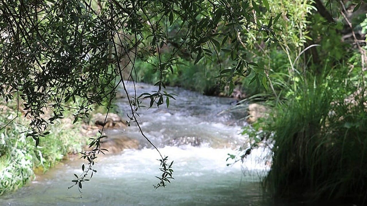 Li Palo ya Xarpêtê zarokê 2 salî di ava newalê de fetisî