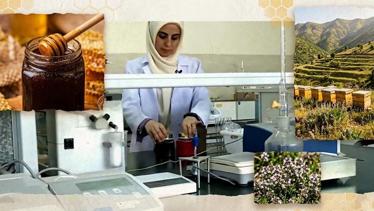 Lêkolîn: Hingivê Kurdistanê wekî derman hat piştrastkirin