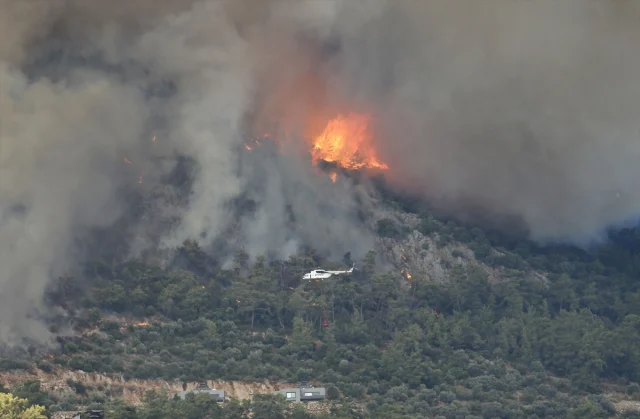 Di navça Fethiye ya Muğlayê agir bi daristanê ket: Geştiyar bi endîşene