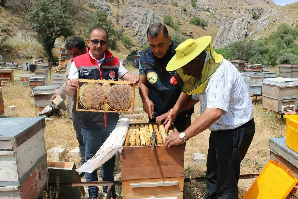 Li bajarê Ezirganê dest bi derxistina hingiv kirin: Hiberîn dibe bigihê 1500 tonî