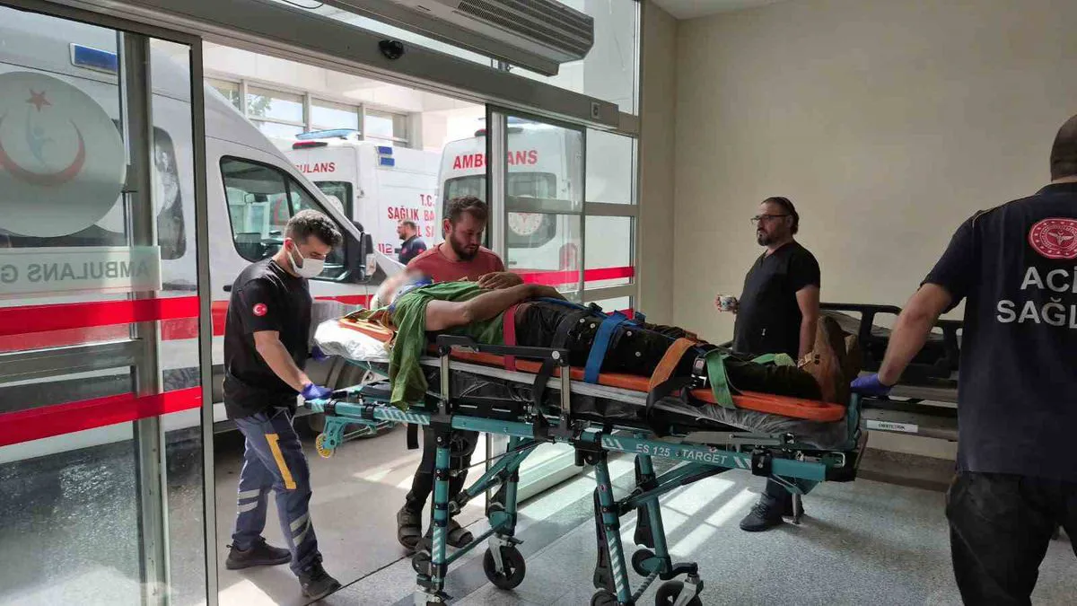 Li bajarê Semsûrê romorka titûn barkirî wergeriya: 8 kes birîndar bûn